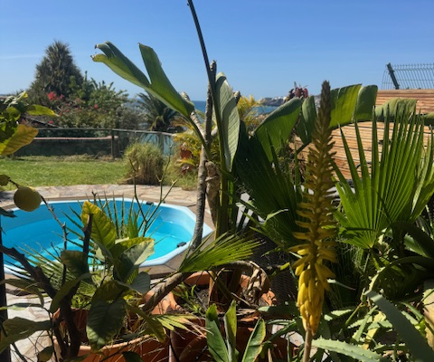 Garten Bahia Feliz - Gran Canaria