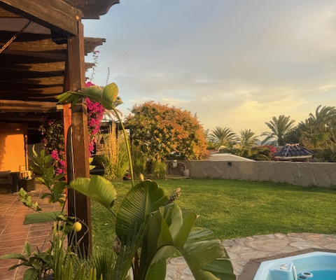 Garten Bahia Feliz - Gran Canaria